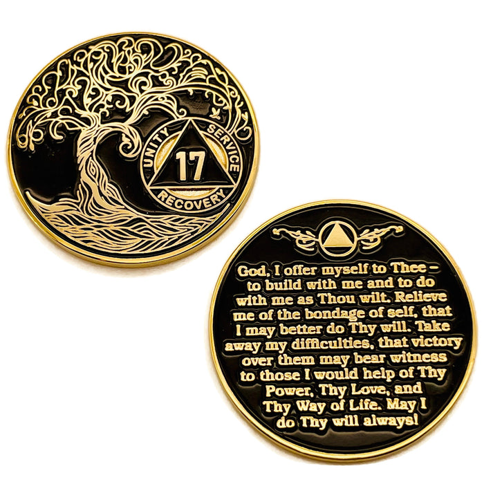 17 Year Sobriety Mint Twisted Tree of Life Gold Plated AA Recovery Medallion - Seventeen Year Chip/Coin - Black + Velvet Case