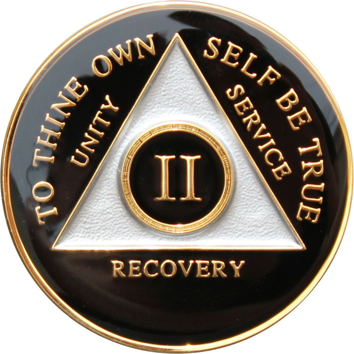 Recovery Mint 2 Year AA Medallion - Tri-Plate Two Year Chip/Coin - Black