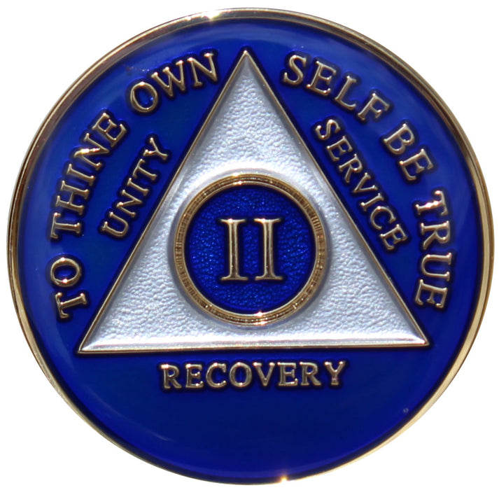 Recovery Mint 2 Year AA Medallion - Tri-Plate Two Year Chip/Coin - Blue