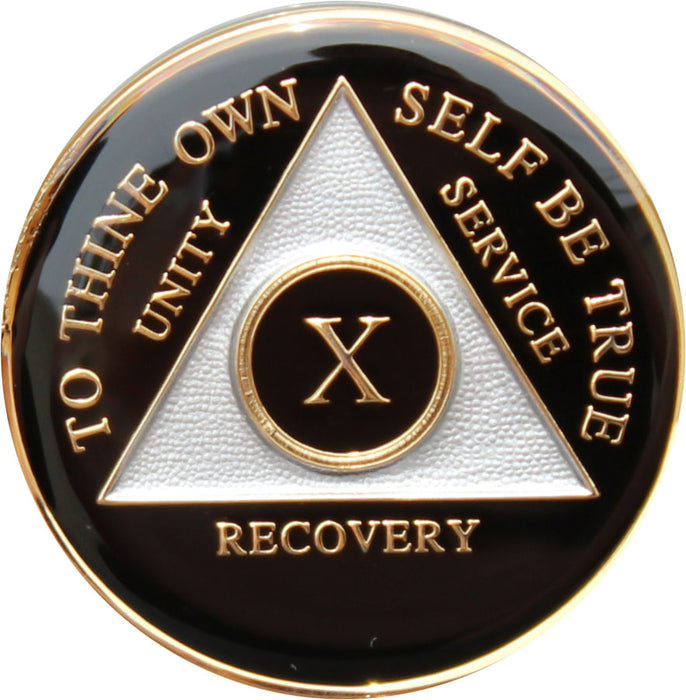Recovery Mint 10 Year AA Medallion - Tri-Plate Ten Year Chip/Coin - Black
