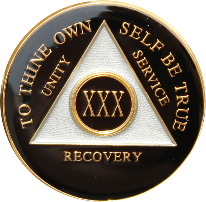 Recovery Mint 30 Year AA Medallion - Tri-Plate Thirty Year Chip/Coin - Black