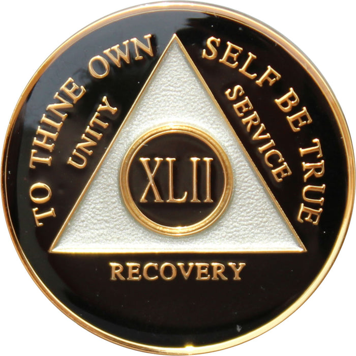 Recovery Mint 42 Year AA Medallion - Tri-Plate Forty-Two Year Chip/Coin - Black